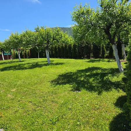 别墅 Usivak For Quiet Near Sarajevo#travellerawards2025 塞拉耶佛